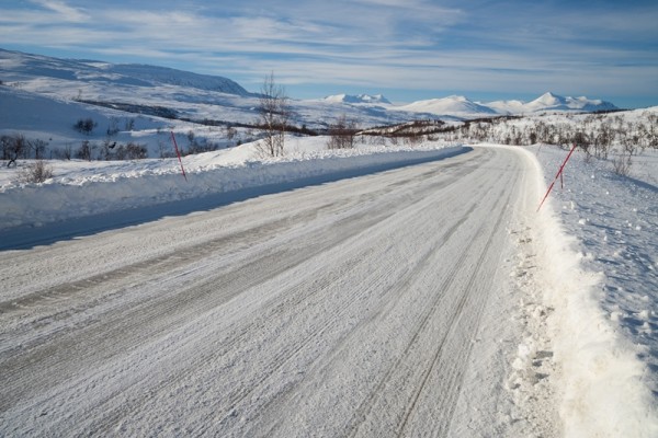 Winter Roads Location cats